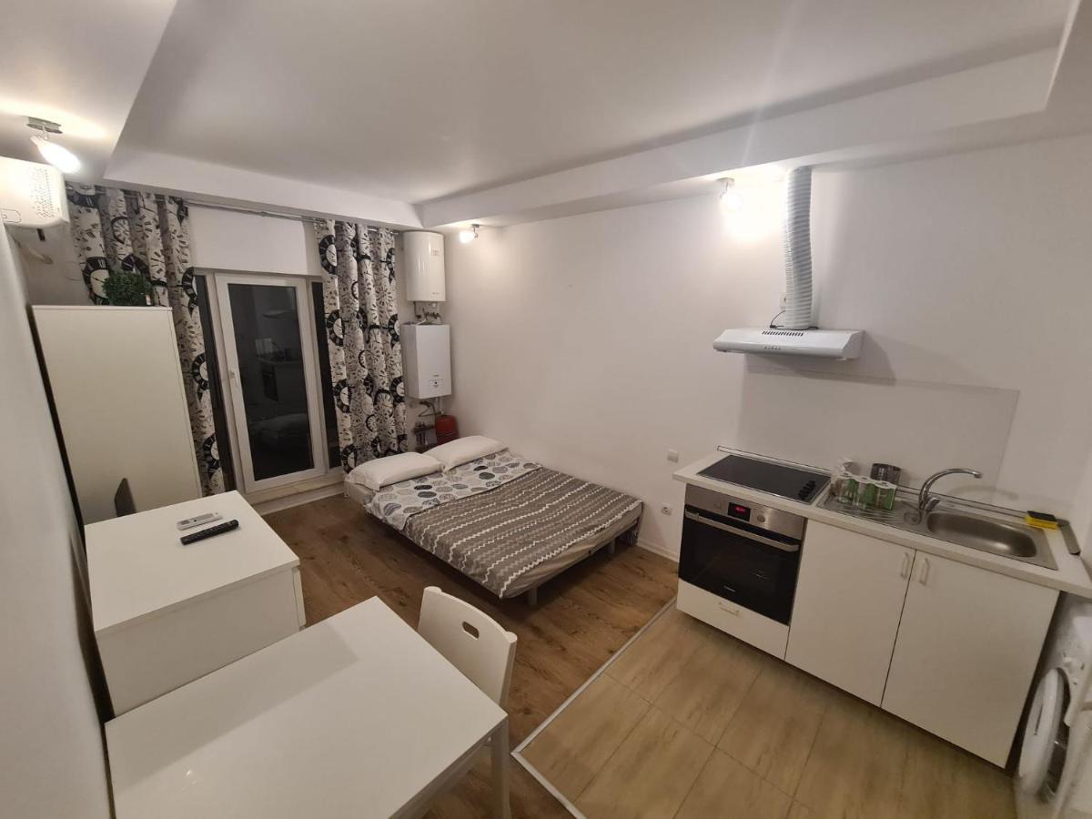 Cosmopolis Studio 1 Stefanestii de Jos Экстерьер фото